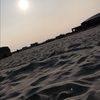 allyleblanc203